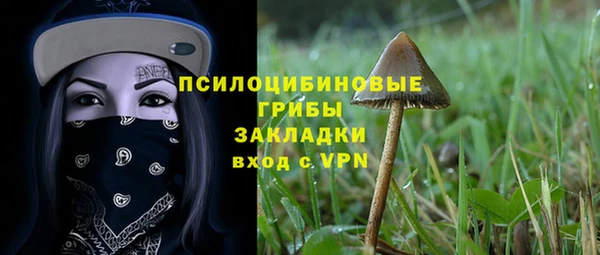 стафф Алексин