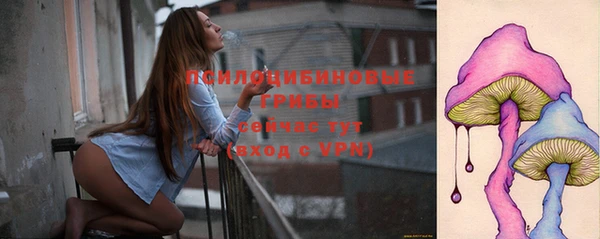 стафф Алексин