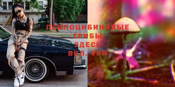 стафф Алексин